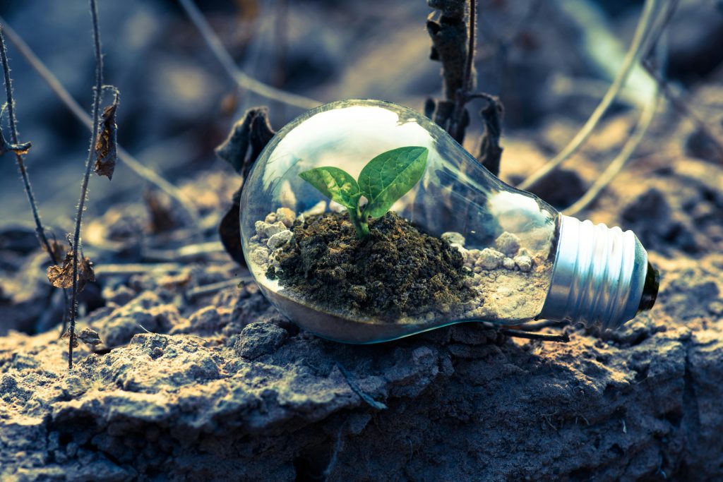 O papel do Brasil no cenário energético global